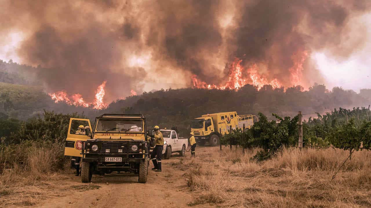 A fire blazing in South Africa. image credit: Working on fire