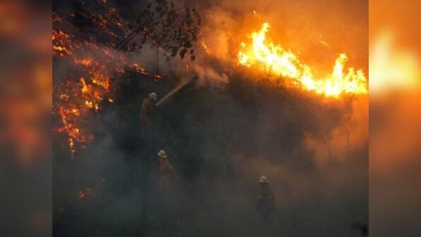 Amazon forest fires rise by 83%, says Brazil space agency; findings raise concerns over President Jair Bolsonaro’s environmental policy