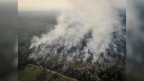 Amazon fires: Solutions lie beyond nationalist politics, a new green vision must be global in scope