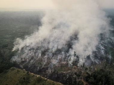 Amazon fires: Solutions lie beyond nationalist politics, a new green vision must be global in scope Amazon fires: Solutions lie beyond nationalist politics, a new green vision must be global in scope