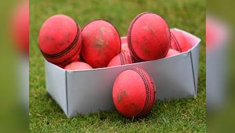 Earley Cricket Club in England brings out vegan ball made of rubber as club does away with traditional leather ball