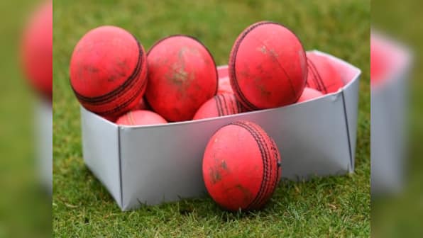 Earley Cricket Club in England brings out vegan ball made of rubber as club does away with traditional leather ball