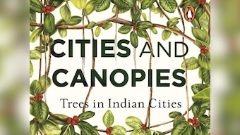 Cities and Canopies: On trees in urban spaces, and discovering our private histories with them