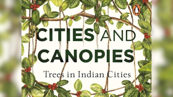 Cities and Canopies: On trees in urban spaces, and discovering our private histories with them