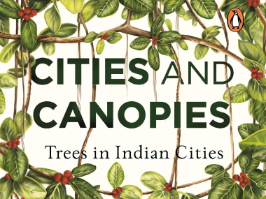 Cities and Canopies: On trees in urban spaces, and discovering our private histories with them Cities and Canopies: On trees in urban spaces, and discovering our private histories with them