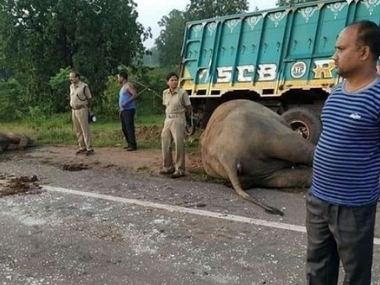 Three elephants killed after being hit by iron-ore laden truck in Odisha's Keonjhar district Three elephants killed after being hit by iron-ore laden truck in Odisha's Keonjhar district