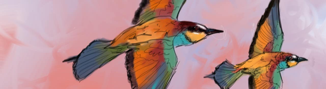 European bee-eater. Image credit: Kiran Dhanjal-Adams