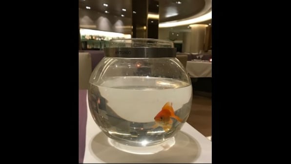 Mumbai hotel's 'thoughtful' gesture towards a guest dining alone melts hearts on Twitter