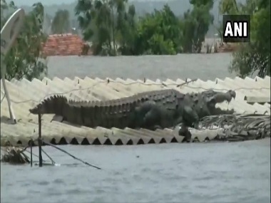 Crocodile lands on rooftop of house in Karnataka's flood-affected Belgaum; deluge leaves 31 dead, 4 lakh displaced in state Crocodile lands on rooftop of house in Karnataka's flood-affected Belgaum; deluge leaves 31 dead, 4 lakh displaced in state