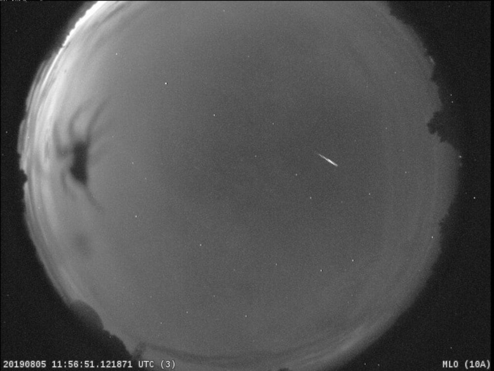 A NASA camera located near Tucson, Arizona, captured this image of a spider and a Perseid meteor on Aug. 5, 2019. Image credit: NASA A NASA camera located near Tucson, Arizona, captured this image of a spider and a Perseid meteor on Aug. 5, 2019. Image credit: NASA
