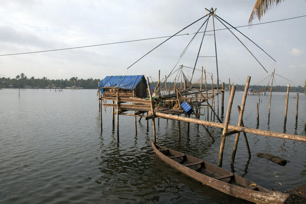 he Chinese fishing net in Kodungalloor, Kerala, where Jaison Kallarackal caught the arapaima. The fish probably escaped from aquaculture facilities during the floods, and are now ‘fugitives’ in the natural ecosystem, claim researchers. Image credit: Smrithy Raj.