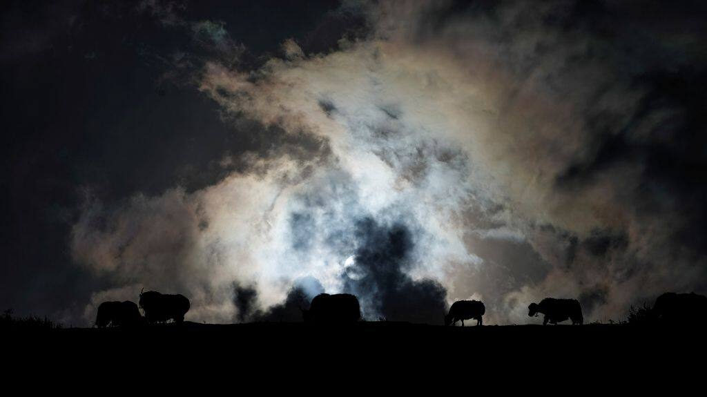 Photo credit: Reuters/Aly Song.