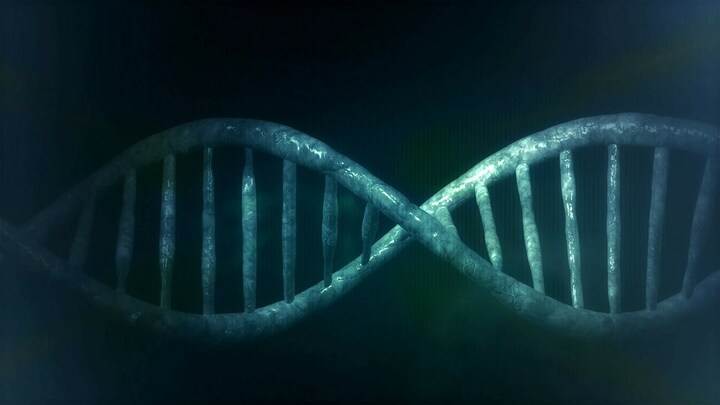 Excerpts from gene-edited baby research show it likely had unintended mutations, unknown side effects