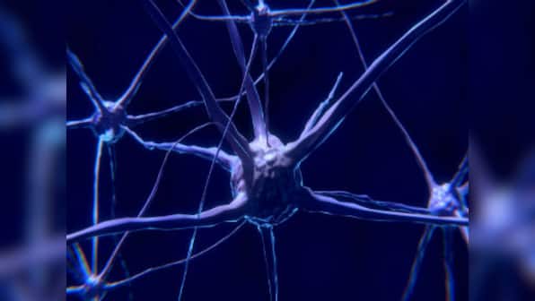 A glitch in the brain: understanding multiple sclerosis