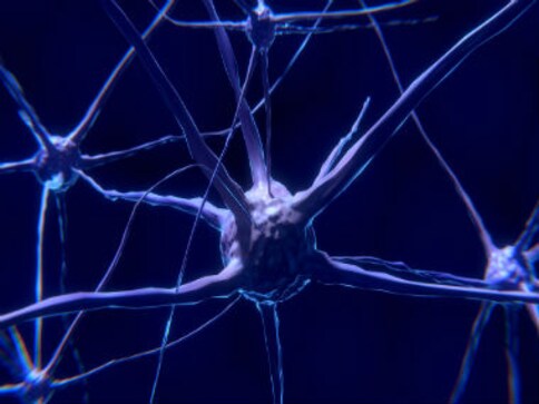 A glitch in the brain: understanding multiple sclerosis A glitch in the brain: understanding multiple sclerosis