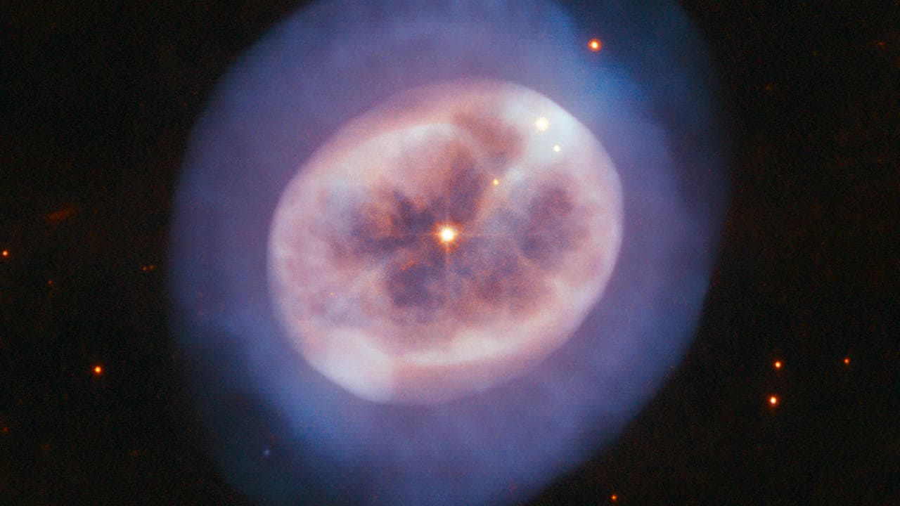Although it looks more like an entity seen through a microscope than a telescope, this rounded object, named NGC 2022, is certainly no alga or tiny, blobby jellyfish. Instead, it is a vast orb of gas in space, cast off by an ageing star. The star is visible in the orb's centre, shining through the gases it formerly held onto for most of its stellar life.  When stars like the Sun grow advanced in age, they expand and glow red. These so-called red giants then begin to lose their outer layers of material into space. More than half of such a star's mass can be shed in this manner, forming a shell of surrounding gas. At the same time, the star's core shrinks and grows hotter, emitting ultraviolet light that causes the expelled gases to glow.  This type of object is called, somewhat confusingly, a planetary nebula, though it has nothing to do with planets. The name derives from the rounded, planet-like appearance of these objects in early telescopes. NGC 2022 is located in the constellation of Orion (The Hunter). Image credit: ESA/Hubble & NASA, R. Wade
