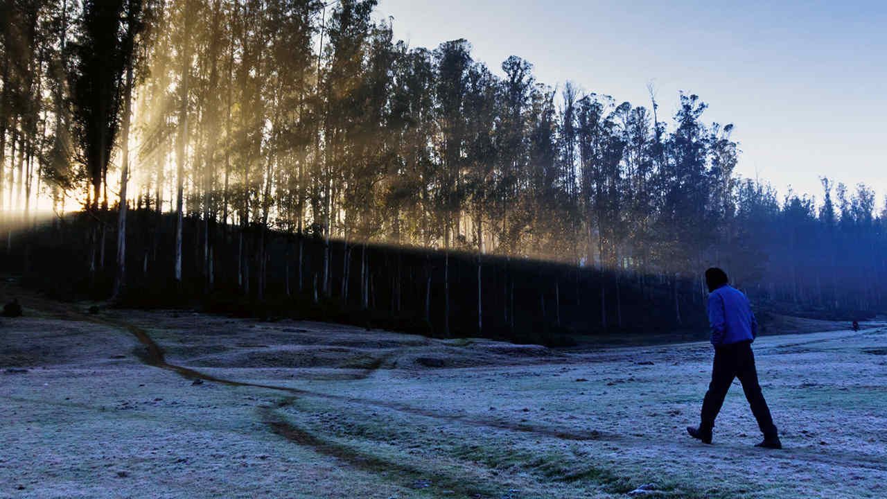 Ground frost in the Nilgiris. Image credit: Aasif Iqbal J./Flickr.