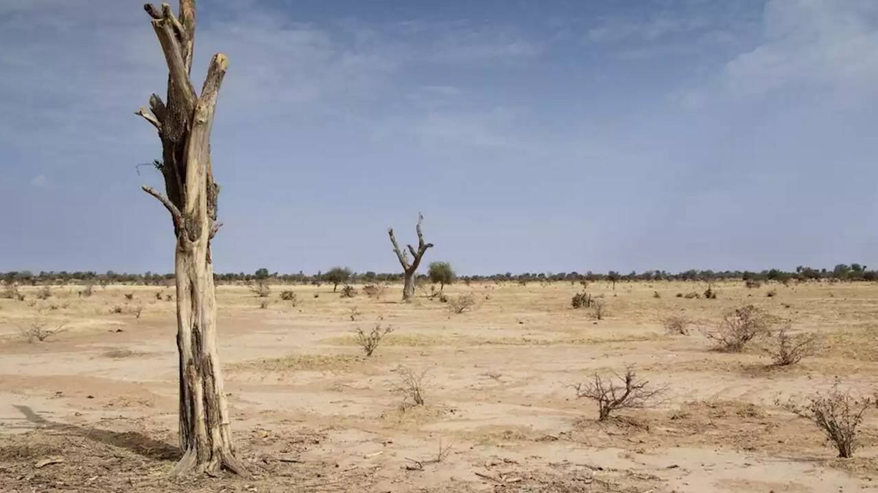 Desertification. image credit: Flickr/TREEAID