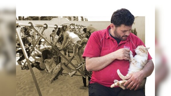 'Cat Man of Aleppo' opens up another feline shelter after first one is destroyed by air strikes