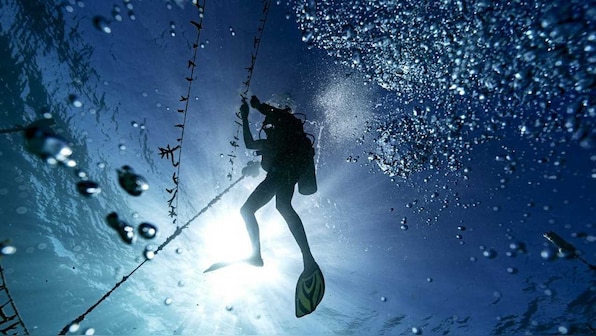 Dedicated coral gardeners are bringing back Jamaica's coral reefs, piece by piece