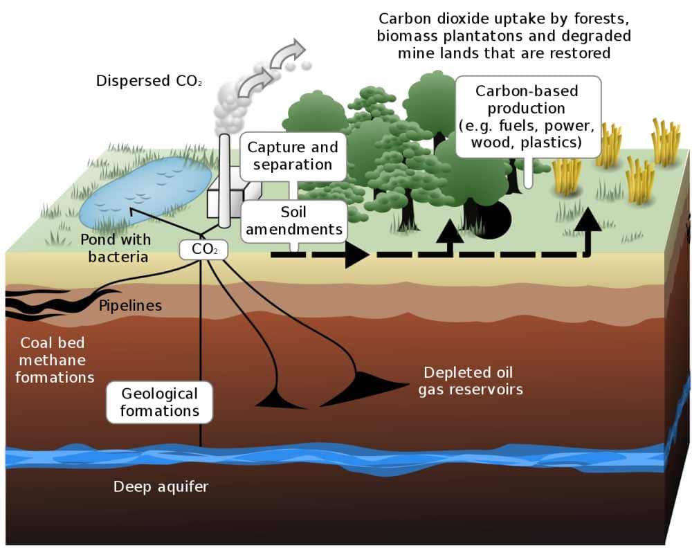 Diagram to explain carbon sequestration. Image credit: Wikimedia Commons 