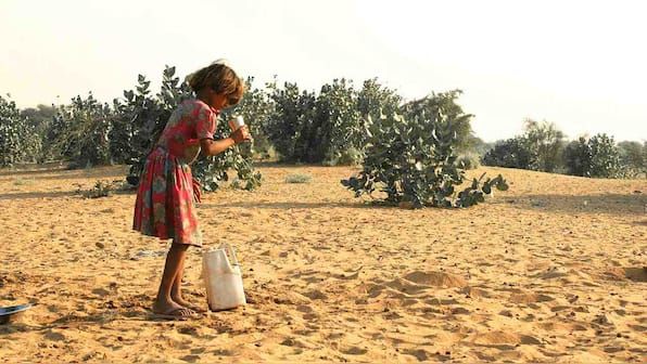 No land will be left, if India does not achieve land degradation neutrality by 2030, says experts
