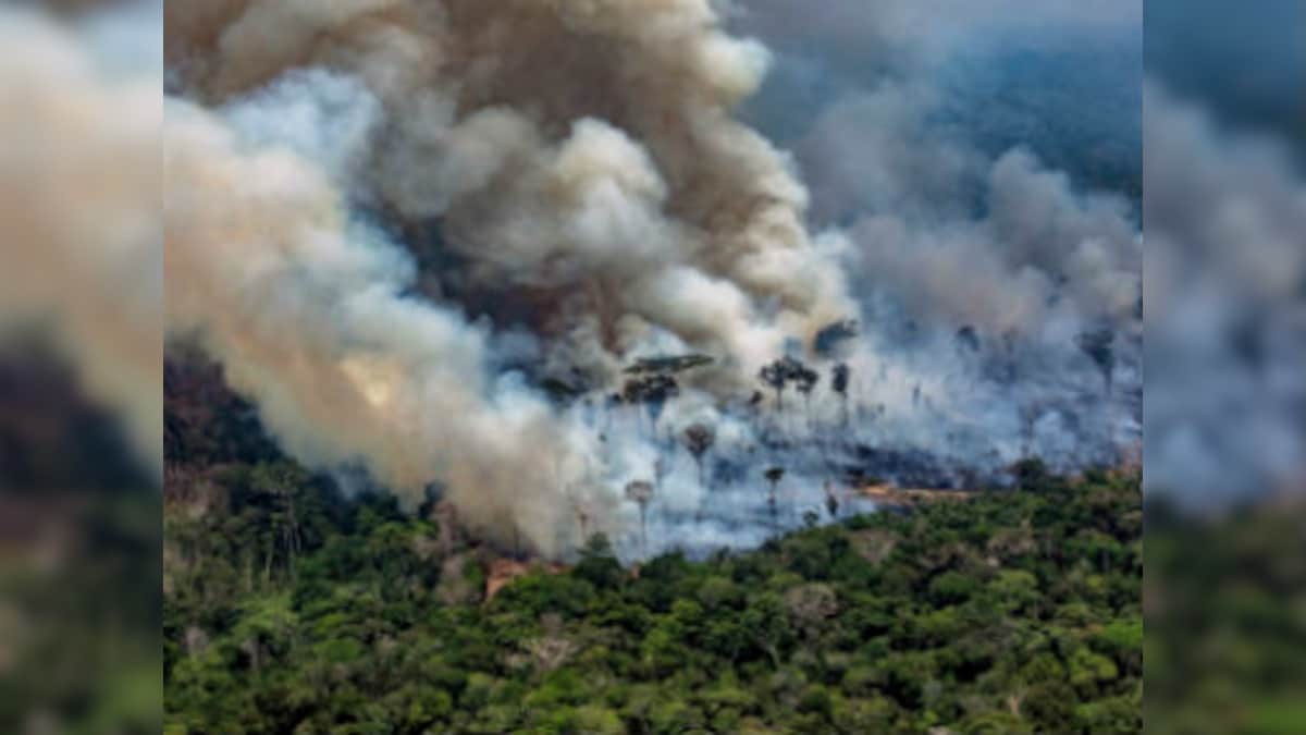 Fires more numerous in Brazil’s Cerrado than Amazon, shows govt data; experts say flames advancing due to high temperatures