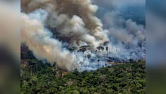 Fires more numerous in Brazil’s Cerrado than Amazon, shows govt data; experts say flames advancing due to high temperatures