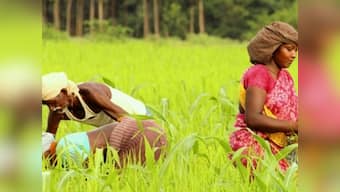 Adivasis and the Indian State: How onset of industrialism, modernisation wreaked cultural, social and economic havoc among tribals
