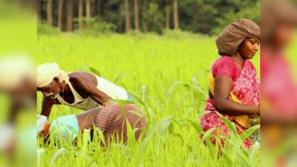 Adivasis and the Indian State: How onset of industrialism, modernisation wreaked cultural, social and economic havoc among tribals
