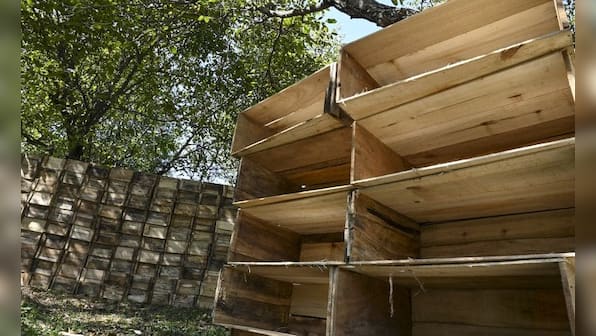 Kashmir situation leaves apple orchards in the lurch; cultivators say clampdown has hurt business, govt says just 'matter of days'
