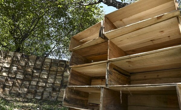 Kashmir situation leaves apple orchards in the lurch; cultivators say clampdown has hurt business, govt says just 'matter of days' Kashmir situation leaves apple orchards in the lurch; cultivators say clampdown has hurt business, govt says just 'matter of days'