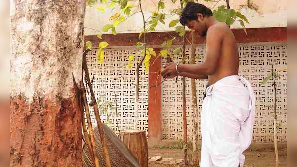 Adivasis and the Indian State: Tribals' philosophy of collectivism is humanity's best chance to end cycle of exploitation