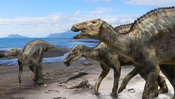 New species of a duck-billed dinosaur skeleton found in Japan dates to 72 million year old
