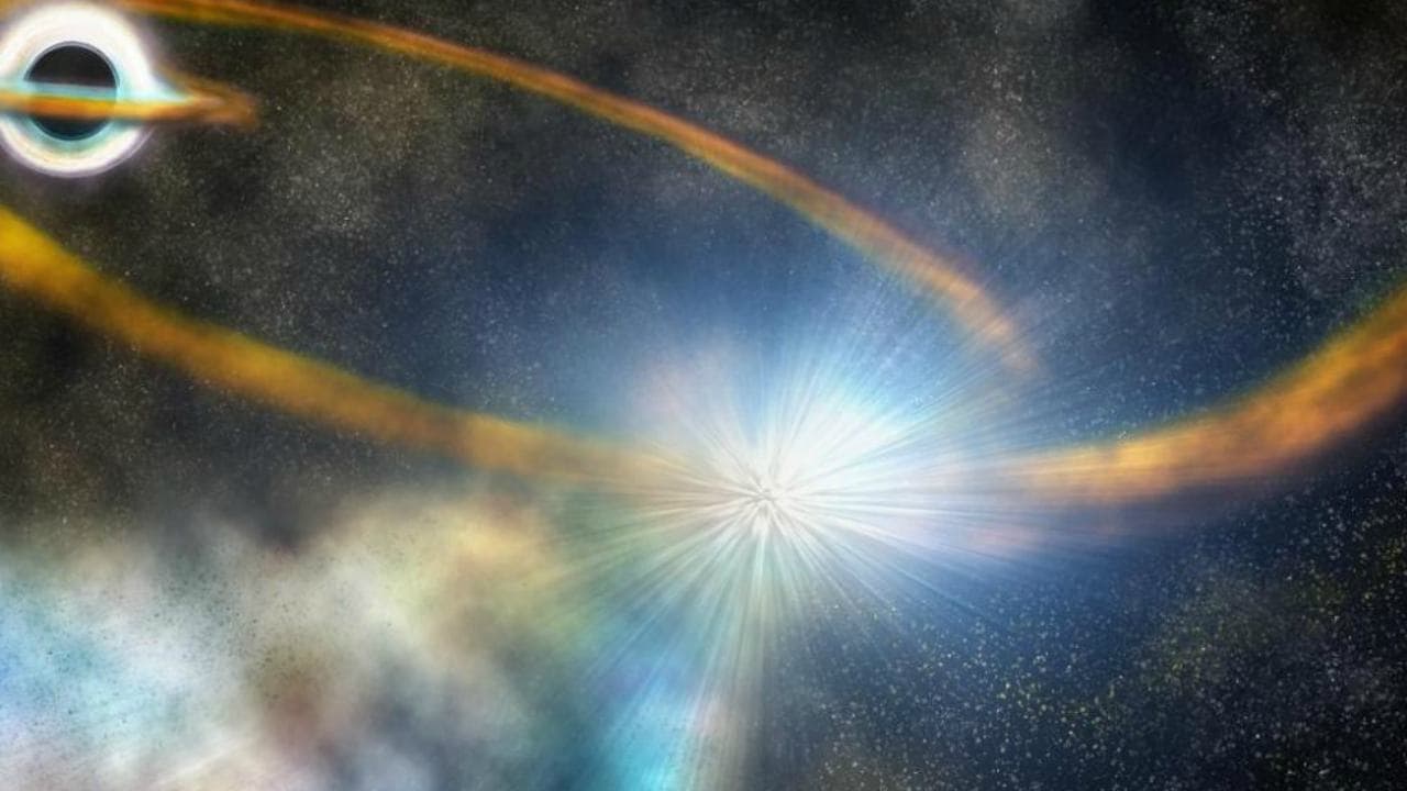 An illustration of the cosmic event where a star got sucked into a black hole. image credit: carnegie Institution for Science