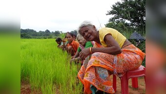 Adivasis and the Indian State: Overcoming financial constraints, facing social hostility — what 'education' means for four tribal students