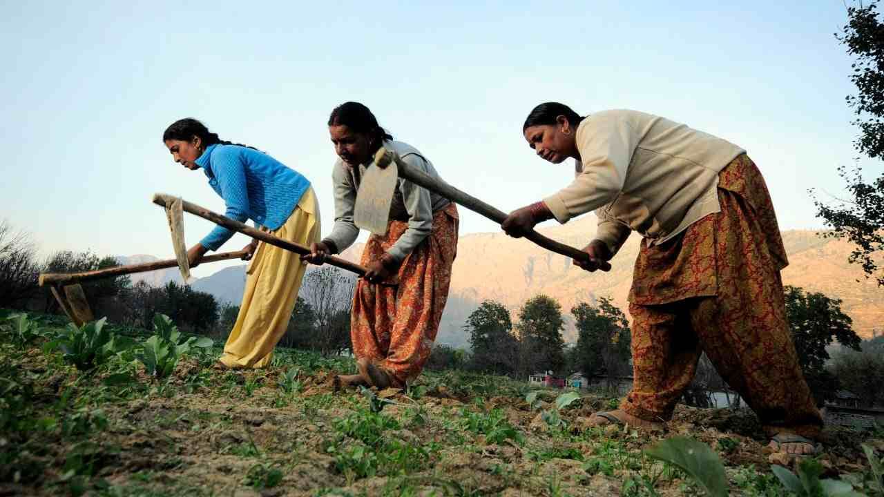 Women in India working on the field. image credit: Wikipedia/ Mr John Cummings