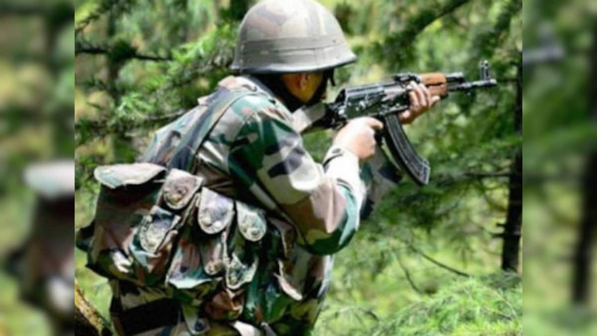 16 animals die as Pakistan violates ceasefire along LoC in Jammu and Kashmir’s Rajouri, Poonch