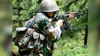 16 animals die as Pakistan violates ceasefire along LoC in Jammu and Kashmir’s Rajouri, Poonch