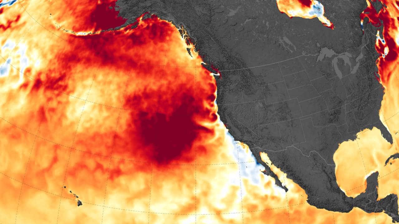 'The Blob', a marine heatwave, near the US West Coast in the Pacific coast. 