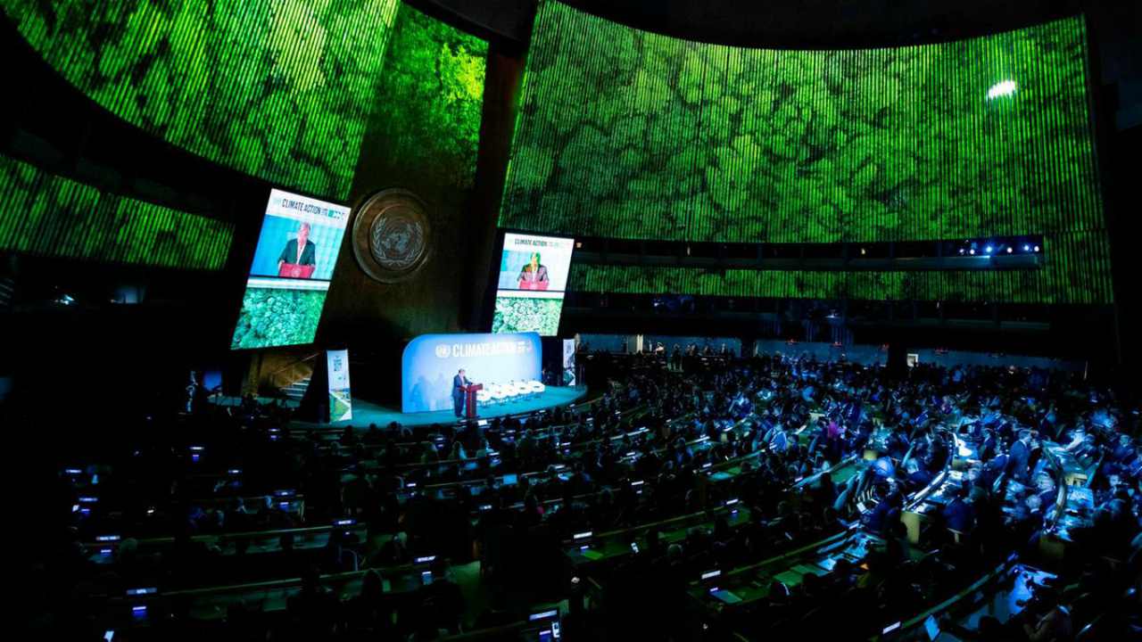 IMF, World Bank roll out debt relief plans for low-income nations in green investments push IMF, World Bank roll out debt relief plans for low-income nations in green investments push