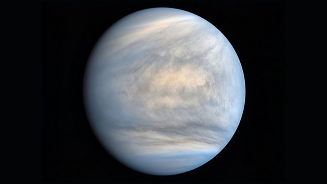 Photographed in ultraviolet light and rendered in false color, this view reveals the complexities of the clouds that coat Venus. The ocher hues correspond to sulfur dioxide. image credit: JAXA