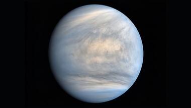 Ancient Venus didn't just have flowing oceans, it likely also supported life, research finds