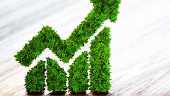 Bank of International Settlements will set up 'green bond' funds for central banks