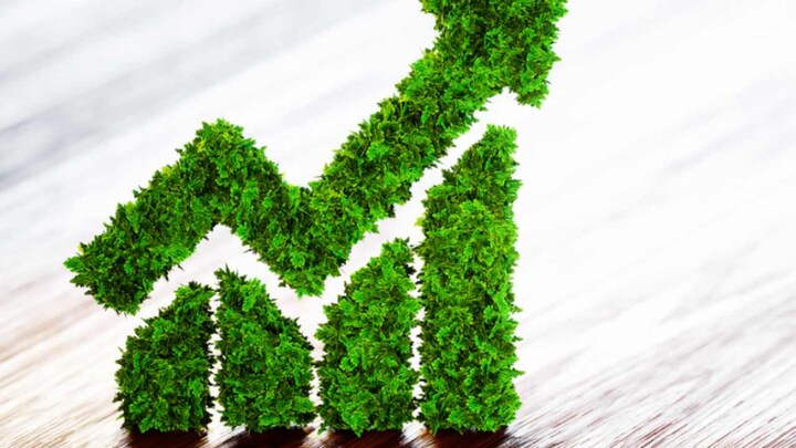 Bank of International Settlements will set up 'green bond' funds for central banks