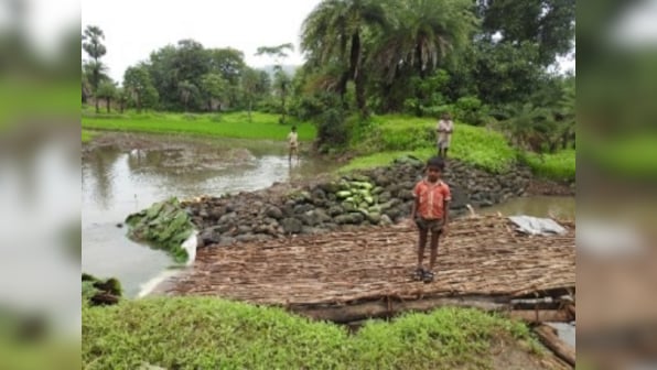 Dahanu, a green zone in peril: Locals protest as taluka's environment protection authority faces the axe