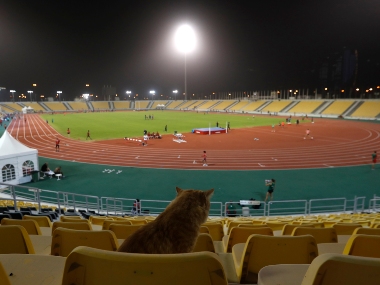 World Athletics Championships 2019: Hosts Qatar look to prove preparedness for 2022 FIFA World Cup amidst rising tensions in Gulf region World Athletics Championships 2019: Hosts Qatar look to prove preparedness for 2022 FIFA World Cup amidst rising tensions in Gulf region