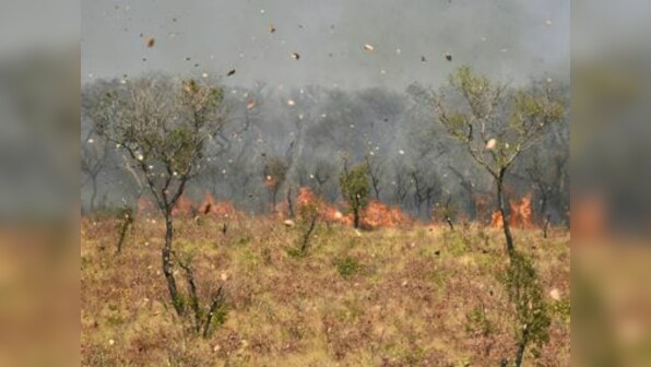 Bolivia has lost 1.7 million hectares of forests and grasslands to wildfires since May, say government officials