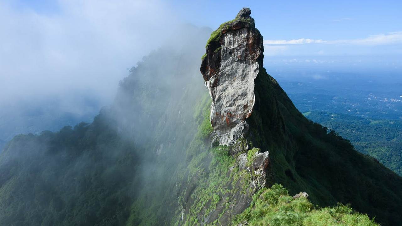India needs to stop deforesting its mountains if it wants to start fighting floods India needs to stop deforesting its mountains if it wants to start fighting floods