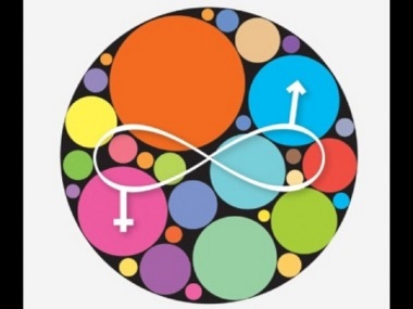 No Outlaws in the Gender Galaxy: Revisiting Zubaan's 2015 book, and what it illuminates of queer identities No Outlaws in the Gender Galaxy: Revisiting Zubaan's 2015 book, and what it illuminates of queer identities